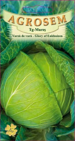 Seminte legume - VARZA DE VARA - GLORY OF ENKHUIZEN, 4 g