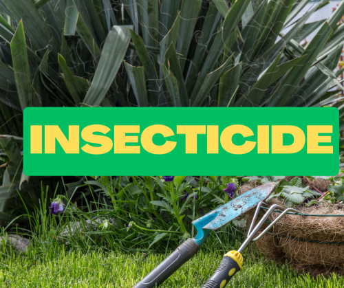 Insecticide / acaricide