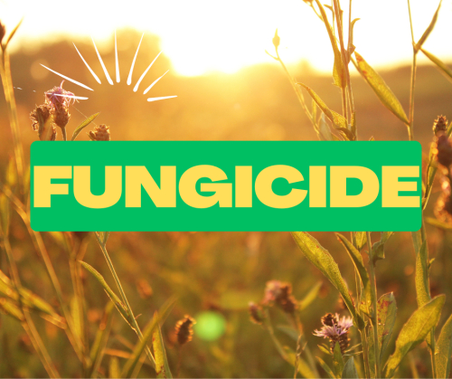 Fungicide