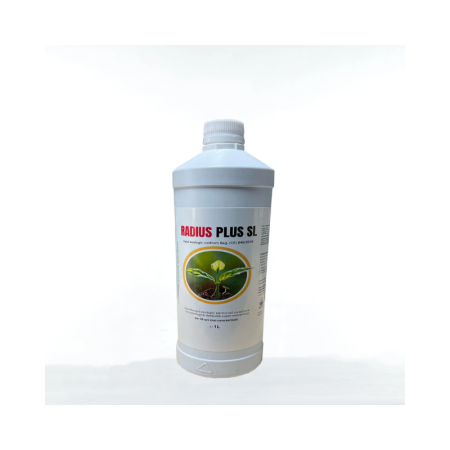 Acasa - Dezinfectant Radius plus SL 1 l