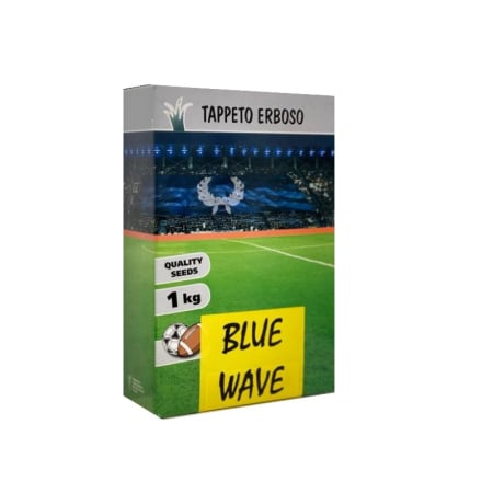 Seminte gazon - Gazon blue wave 1 kg