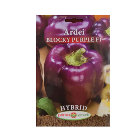 Seminte - Seminte Ardei gras Blocky Purple F1 Hybrid 2 g