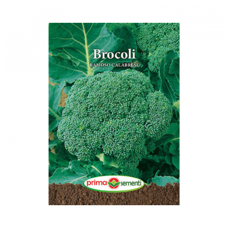 Seminte - Seminte Brocoli Ramoso Calabrese