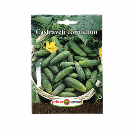 Seminte - Seminte Castraveti cornichon Delikatess