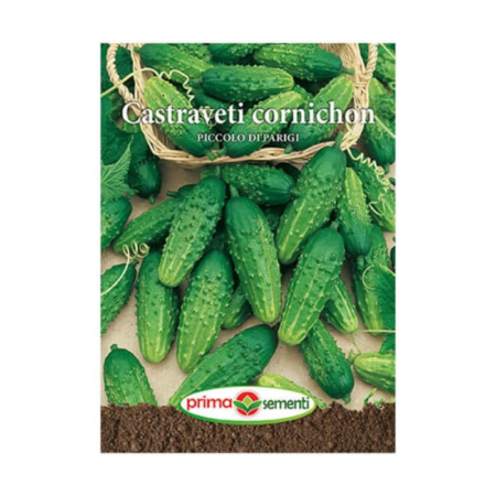Seminte - Seminte Castraveti cornichon Piccolo Di Pargi