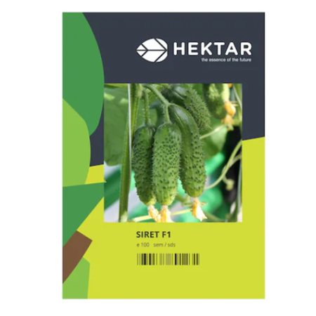 Seminte - Seminte Castraveti cornichon Prut F1, HEKTAR, 50 seminte