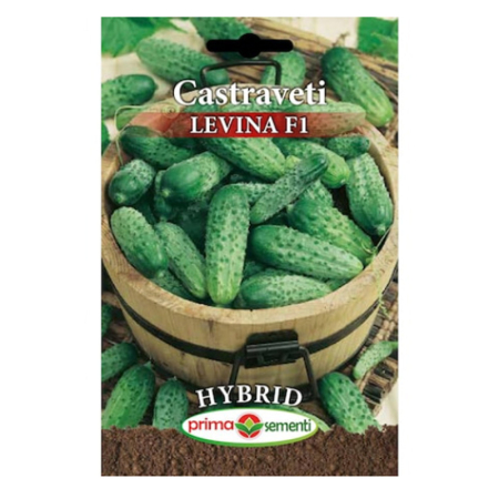 Seminte - Seminte castraveti Levina F1, 10 gr, Prima Sementi