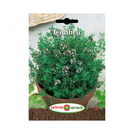Seminte aromatice - Seminte Cimbru 0.4 g