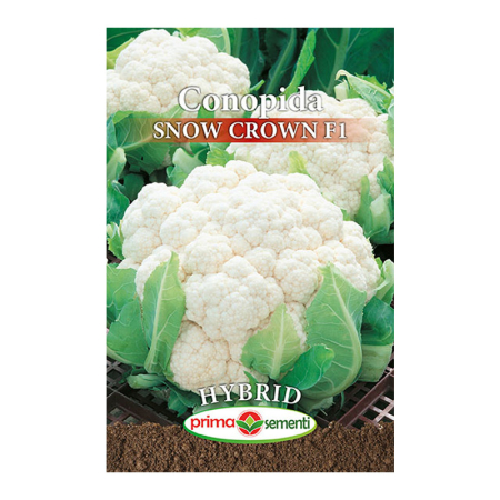 Seminte - Seminte conopida Snow Crown F1 Hybrid