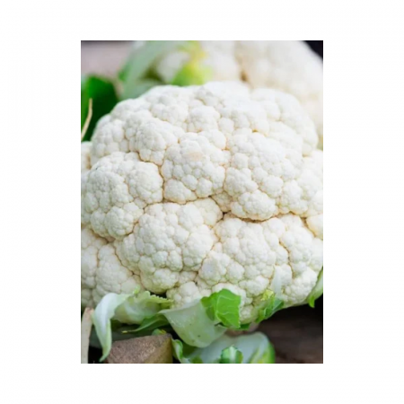 Seminte - Seminte Conopida Snowball