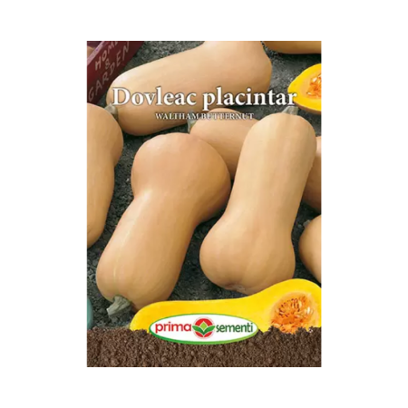 Seminte legume - Seminte Dovleac placintar Waltham Butternut