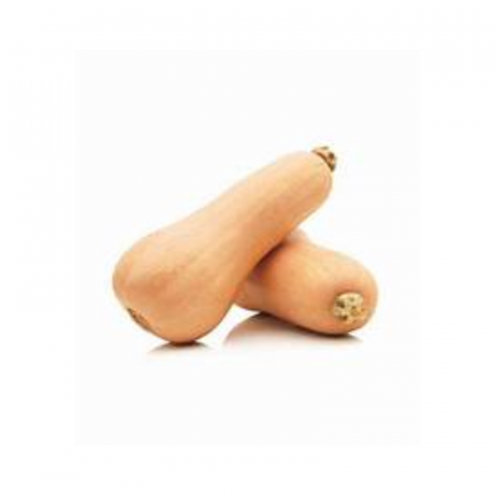 Seminte - Seminte Dovleac placintar Waltham Butternut