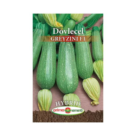 Seminte - Seminte dovlecel Greyzini F1 Hybrid