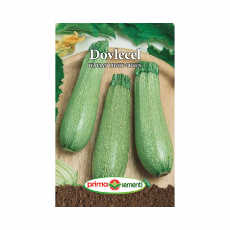Seminte legume - Seminte Dovlecel Italian Light Green