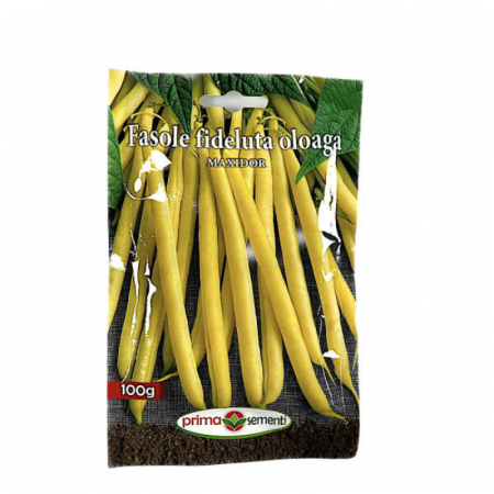 Seminte - Seminte fasole Fideluta oloaga Maxidor 100 g