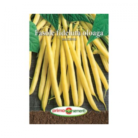 Seminte - Seminte Fasole fideluta oloaga Maxidor 15 g