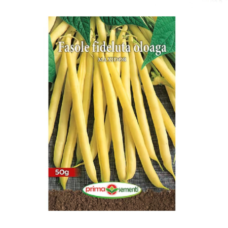 Seminte - Seminte fasole fideluta oloaga Maxidor 50g, Prima Sementi