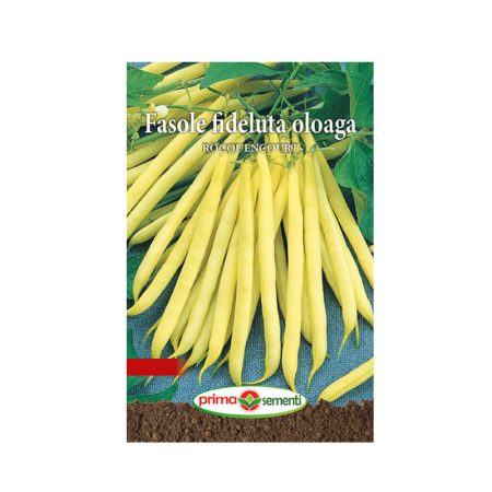 Seminte legume - Seminte Fasole fideluta oloaga Rocquencourt 15 g