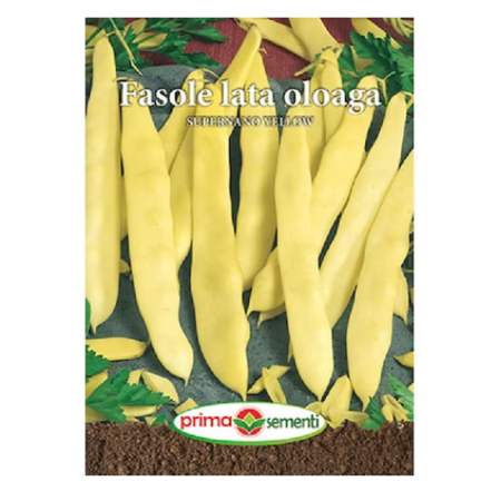 Seminte - Seminte fasole lata oloaga Supernano Yellow 50 g
