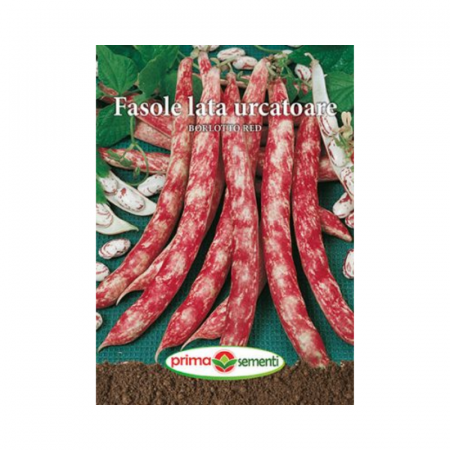 Seminte - Seminte Fasole lata urcatoare Borlotto Red 10 g