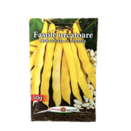 Seminte - Seminte fasole urcatoare Meraviglia di venezia 50 g