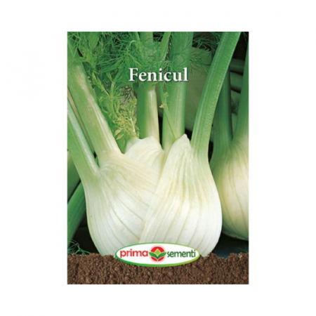 Seminte aromatice - Seminte Fenicul