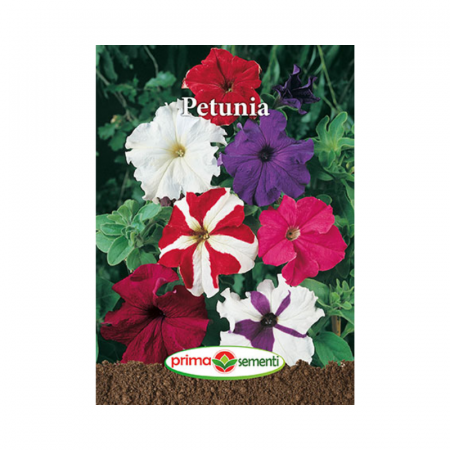 Seminte flori - Seminte Flori Petunia 0.05 g