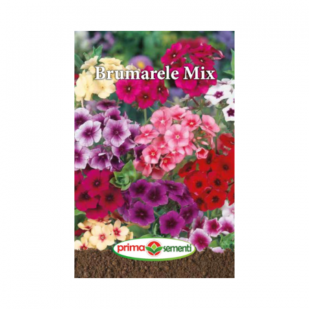 Seminte flori - Seminte flori Brumarele mix