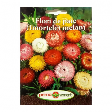 Seminte flori - Seminte Flori de paie ( Imortele ) menaj