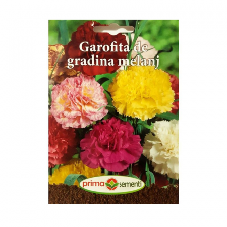 Seminte flori - Seminte flori Garofita de gradina melanj