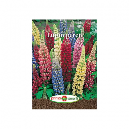 Seminte flori - Seminte flori Lupin Peren