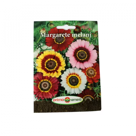 Seminte flori - Seminte flori Margarete melanj