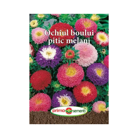 Seminte flori - Seminte Flori Ochiul Boului pitic melanj