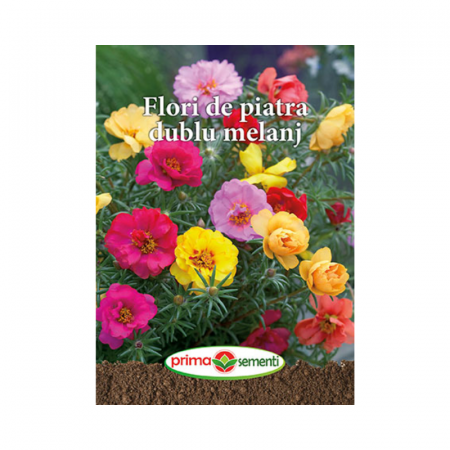 Seminte flori - Seminte flori se piatra dublu melanj