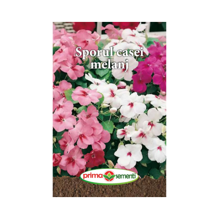 Seminte flori - Seminte flori Sporul casei melanj