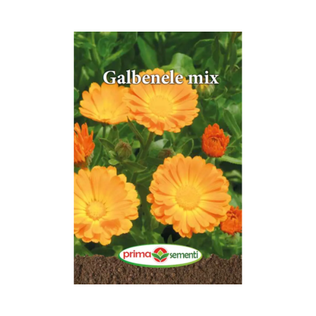 Seminte flori - Seminte Galbenele mix