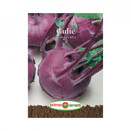 Seminte aromatice - Seminte Gulie Vienna Purple