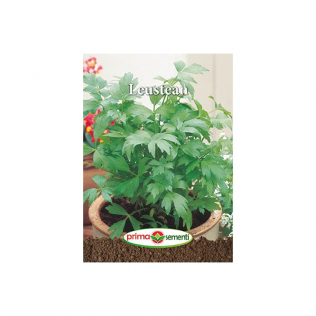 Seminte frunzoase - Seminte Leustean