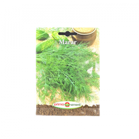 Seminte aromatice - Seminte Marar