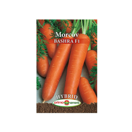 Seminte - Seminte morcov Bashra F1 Hybrid