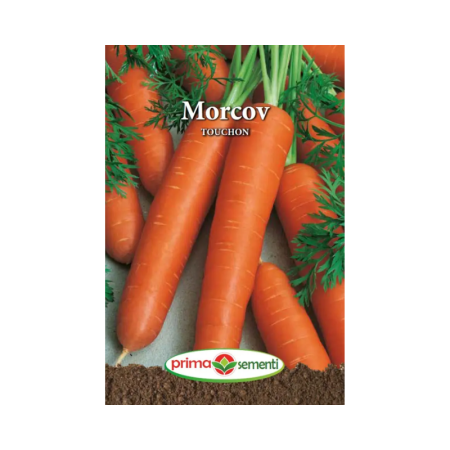 Seminte radacinoase - Seminte Morcov Touchon
