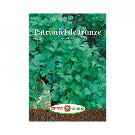 Seminte aromatice - Seminte Patrunjel de frunze Comune
