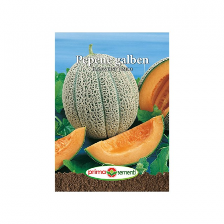 Seminte legume - Seminte Pepene galben Hale's Best Jumbo