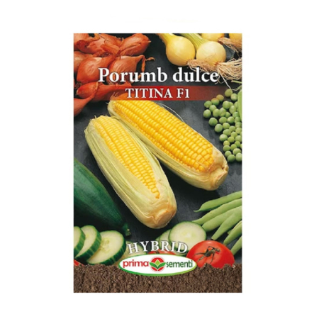 Seminte - Seminte porumb dulce Titina F1 5g