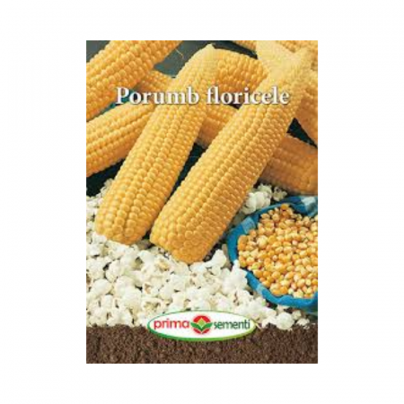Seminte porumb - Seminte Porumb Floricele 8 g