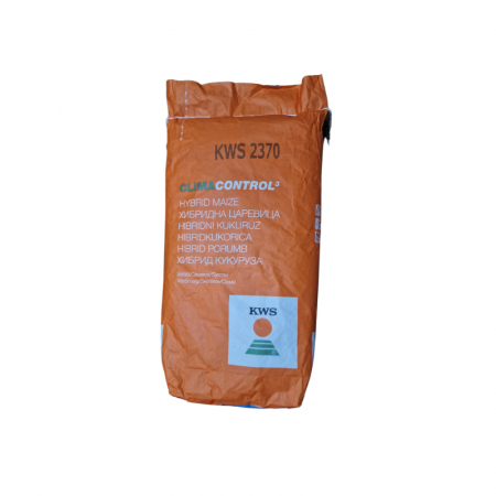 Seminte porumb - Seminte Porumb 2370 50.000 de boabe