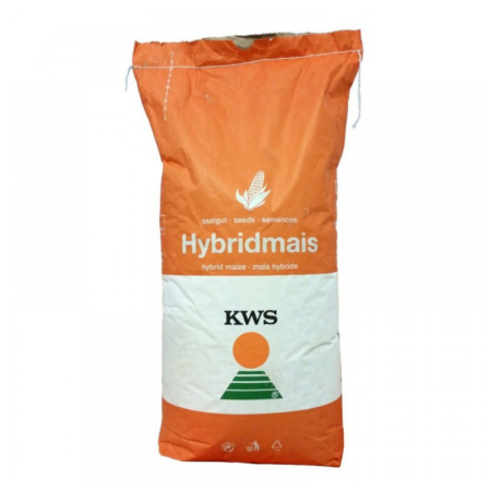 Seminte - Seminte porumb KWS Kashmir 25.000 boabe