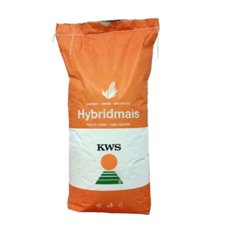 Seminte porumb - Seminte Porumb Kinemas 25.000 de boabe