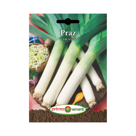 Seminte aromatice - Seminte Praz Carentan