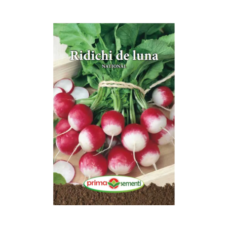 Seminte radacinoase - Seminte Ridichi de luna National